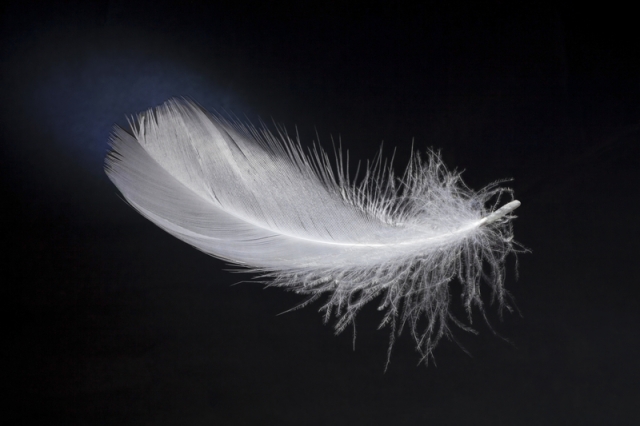 angel-feathers